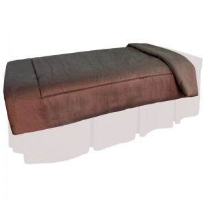 ��ǰ ������