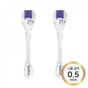 ��ǰ ������